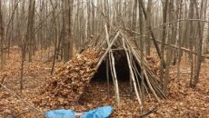 Stick Shelter