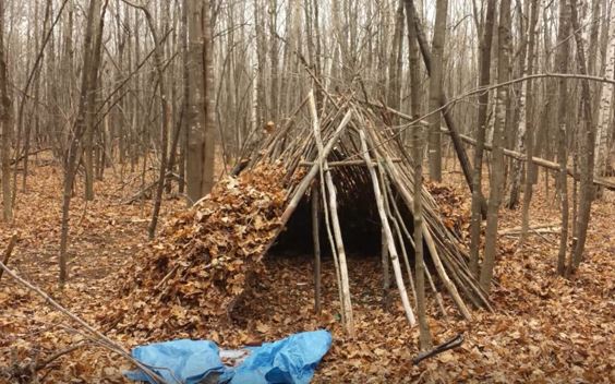 Stick Shelter