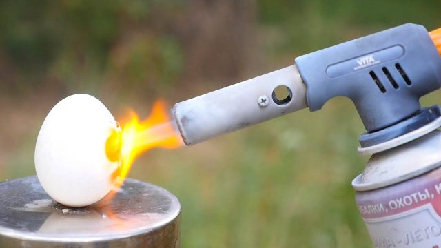 egg-vs-gas-torch