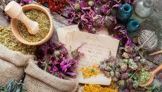 healing-herbs