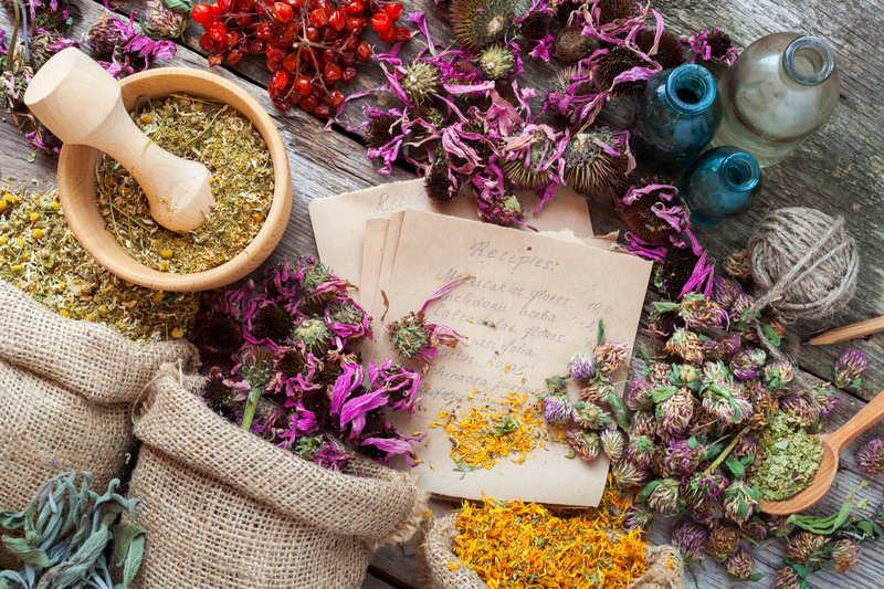 healing-herbs