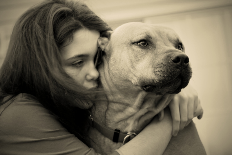 pit-bull-and-girl