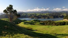 New Zealand