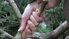 bushcraft survival skills