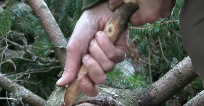 bushcraft survival skills