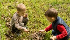 children playing in grass