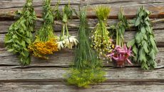 herbs