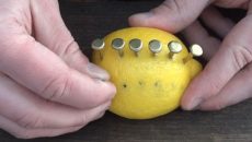 putting screws in a lemon