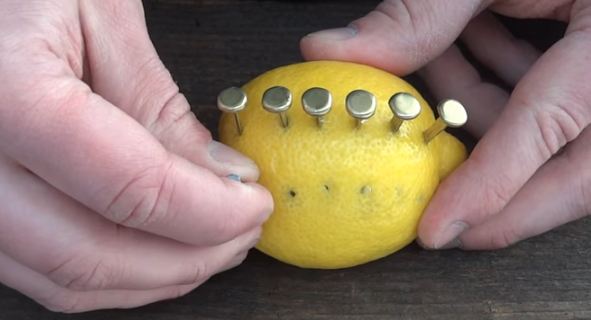 putting screws in a lemon