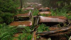 car graveyard