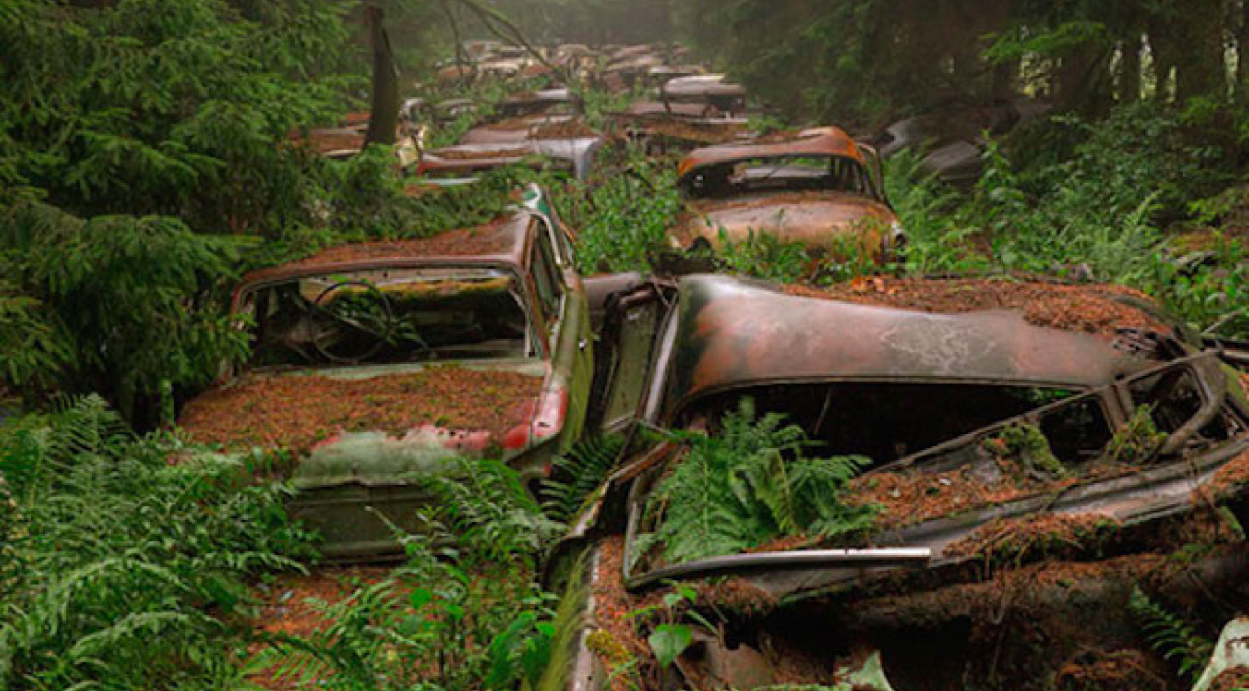 car graveyard