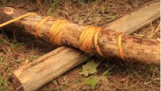 cordage and logs