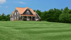 country house and lawn