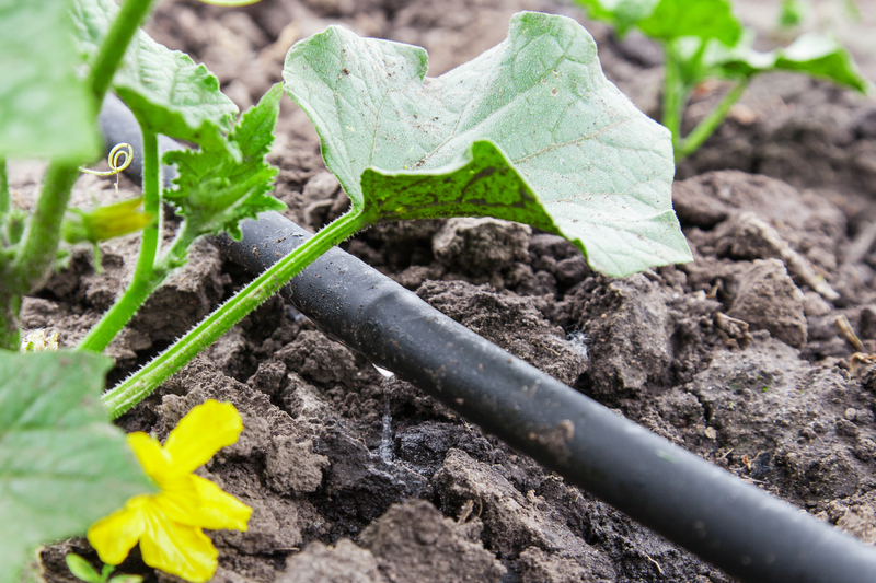 garden and irrigation