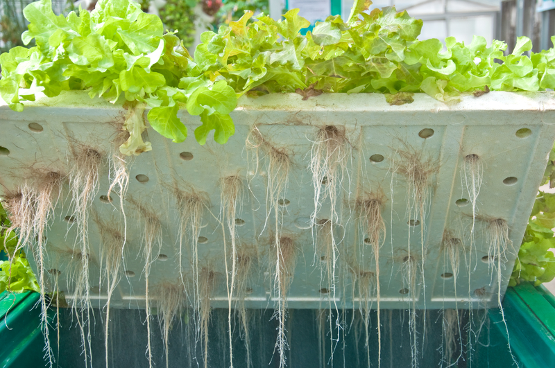 hydroponic system