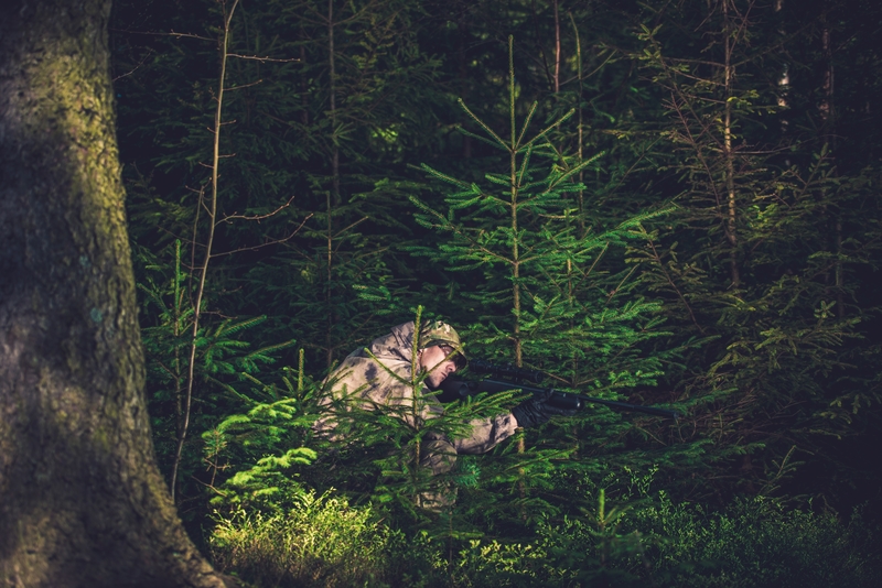 man hiding in forest