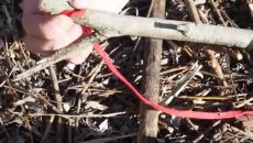 shoes string and stick
