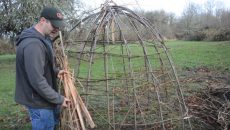 cattail shelter