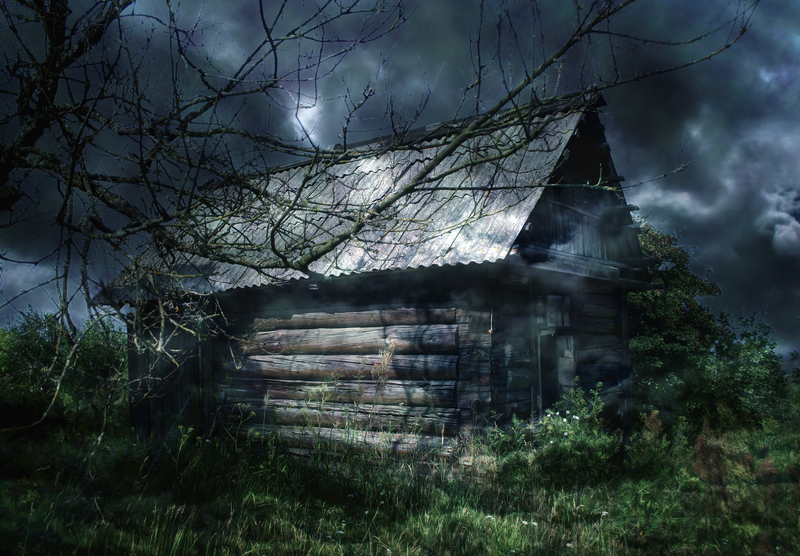 house in the woods