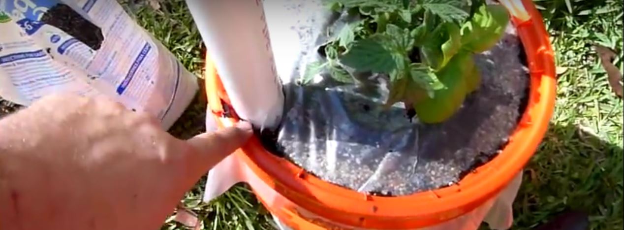 garden in bucket