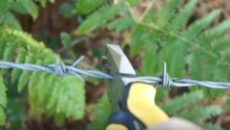 barbed wire cutters