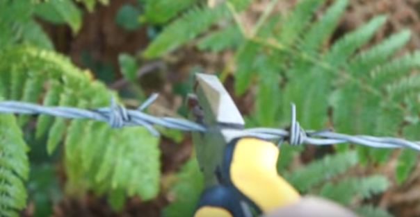 barbed wire cutters