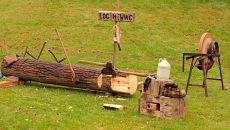 logs and timber