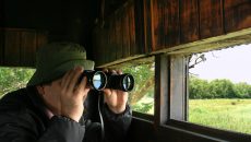 man with binoculars