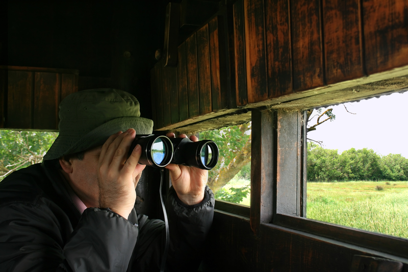 man with binoculars