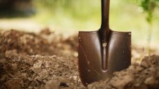 shovel in soil