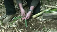 bamboo tent pegs