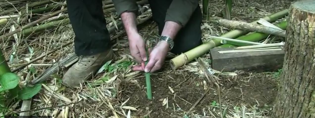 bamboo tent pegs