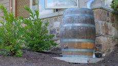 rain barrel