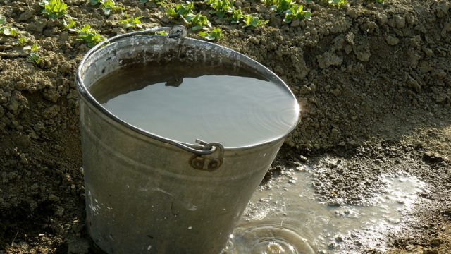 bucket full of water