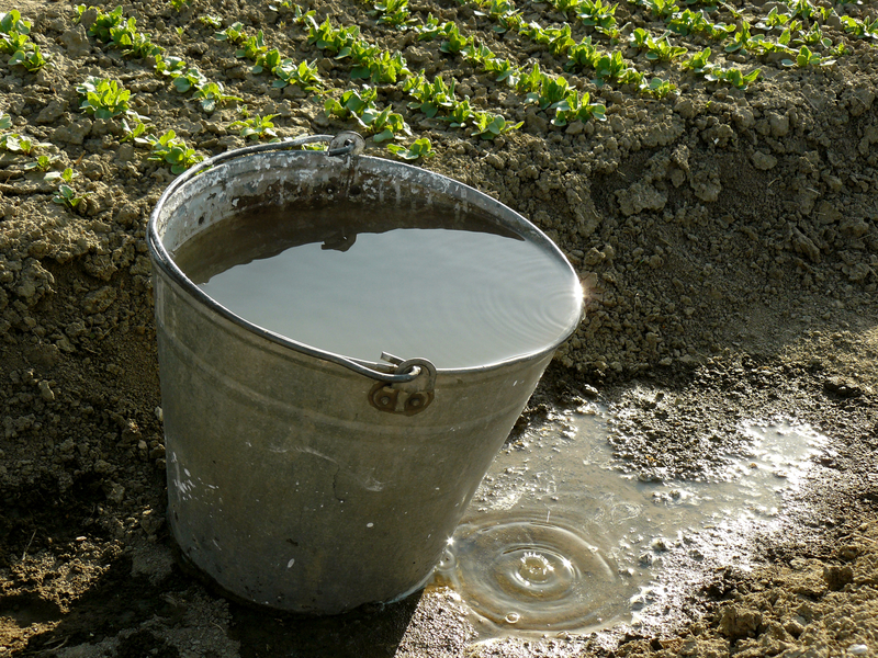 bucket full of water