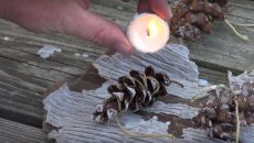 pine cone fire starters