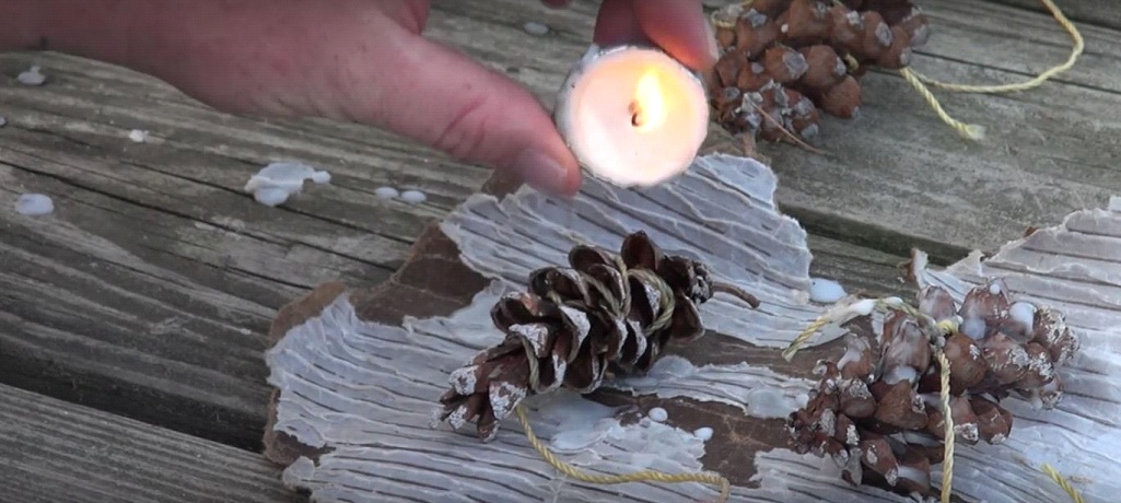 pine cone fire starters