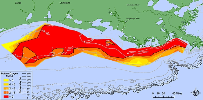 Gulf-Of-Mexico-Deadzone