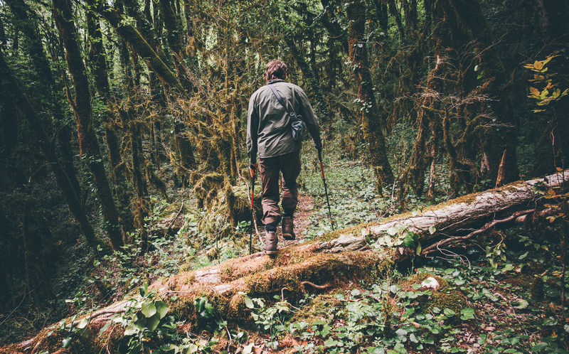 man in the forest