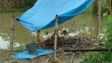 setting up a tarp