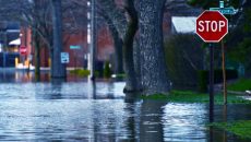 flooded street