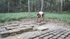 mud bricks