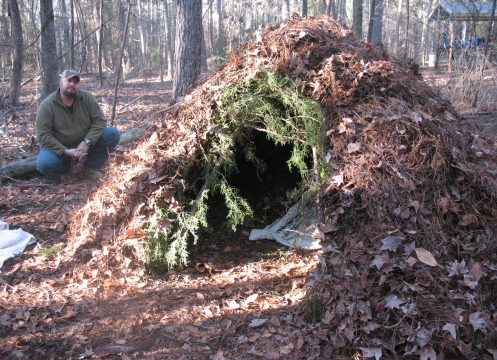 spider shelter